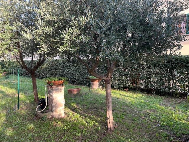 La Casa Di Claudia Villa Florence Luaran gambar